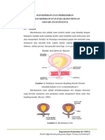 Resume Perkemihan