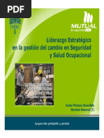 03 Liderazgo Estrategico - Jaime Peirano Arancibia