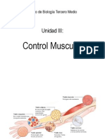 311.Control.muscular (3)