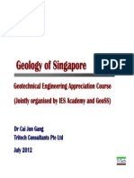 Rock Formation in Singapore