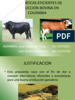 Alternaticas Eficientes de Produccion Bovina en Colombia