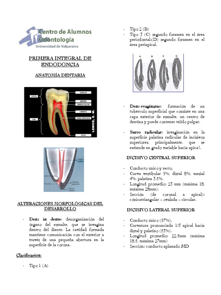 Compilado Endodoncia I PDF Calcio Salud y bienestar
