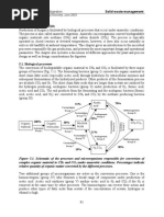 Anaerobic Digestion: 5.1. Biological Processes