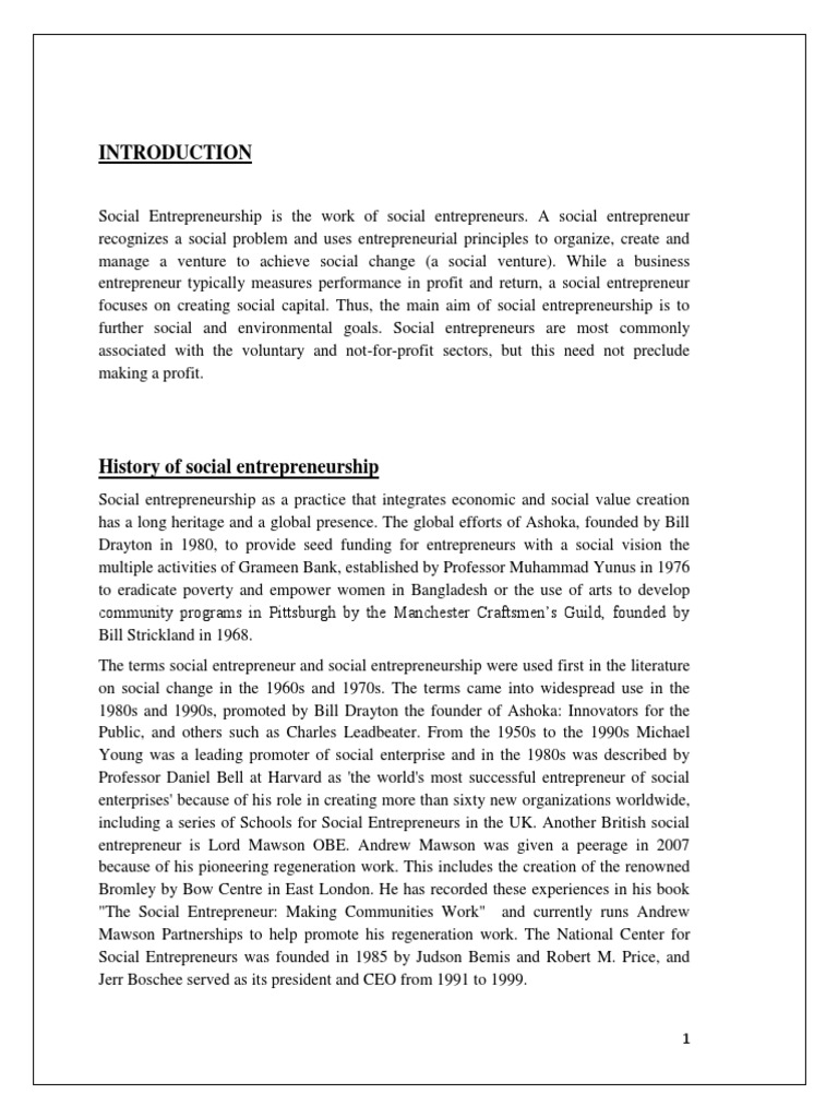 Understanding Social Entrepreneurship | PDF | Social Entrepreneurship ...