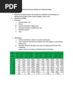 Deficiencia de Macro Nutriente en El Cultivo de Lechuga