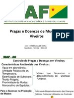 Controle de pragas e doenças em Viveiros