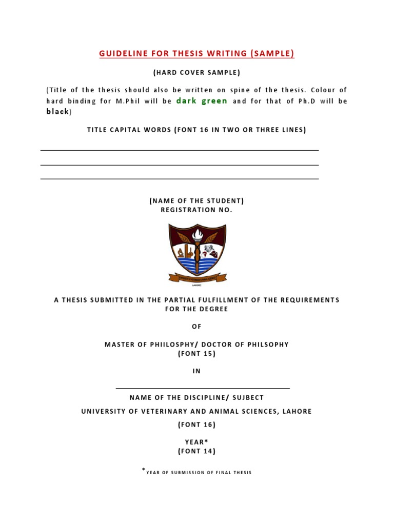The Ultimate Guide To Writing An Evaluative Thesis - 2vaatl3
