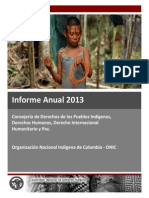 Informe Anual 2013 Derechos Humanos ONIC