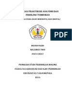 Laporan Praktikum Anatomi Dan Fisiologi Tumbuhan Daun