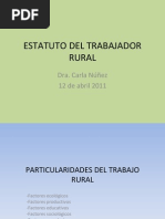 Estatuto Del Trabajador Rural