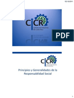 CICR Principios y Generalidades de RS