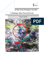 Environmental State: Past and Present at S. Domingos Mine