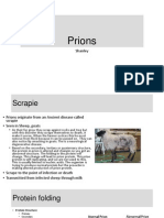 Prion Diseases Originate from Scrapie in Sheep