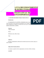 Práctica #8 Reconocimiento de Estructuras Vegetativas de Angiospermas