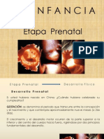 3 Desarrolo Prenatal