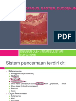 Histologi Oesofagus, Gaster, Duodenum