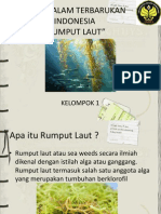 BATI Rumput Laut