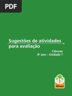 Sug Arariba Cien Uni 7