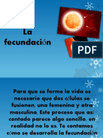 La Fecundación