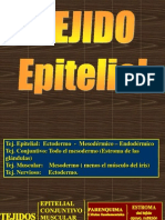 Epitelios 1