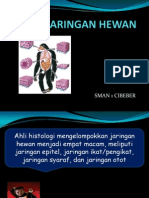 Materi ppt kelas XI JARINGAN HEWAN