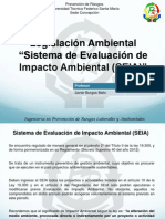 Presentacion Clase SEIA 2 PDF