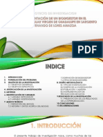 Diapositivas2 PDF