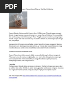 Download Manfaat Tumbuhan Rumput Fatimah Untuk Pelancar Haid Dan Melahirkan by w1d1ono SN241549909 doc pdf