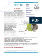 APUNTES TEJIDO EPITELIAL.pdf