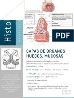 Capas Órganos Huecos PDF