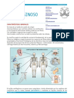 CARTILAGINOSO APUNTES.pdf