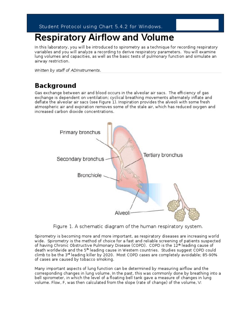 Respiratory Protocol Lung Respiratory System