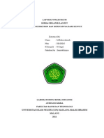 Laporan Identifikasi Dan Isolasi Kurkumin