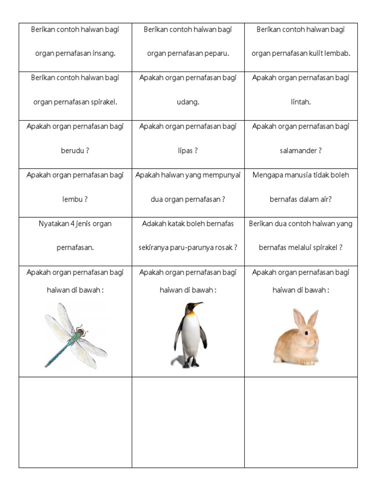 Soalan Pernafasan Haiwan Pdf