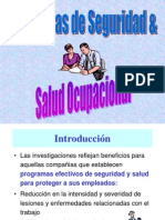 Programas de Seguridad