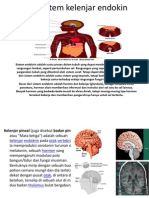 Sistem Kelenjar Endokin Ppt