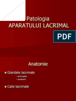 Patologia Aparatului Lacrimal