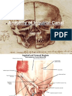 Anatomy of Inguinal Canal