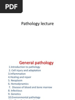 Cell Injury: Mechanisms and Adaptations | PDF | Medical Specialties ...