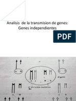 Neurospora II