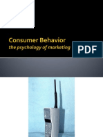 Consumer Behavior