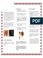 TRIPTICO PEDICULOSIS.pdf