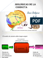 Bases Biologicas Del Comportamiento