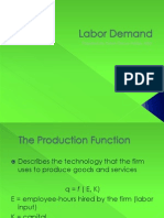 Labor Demand