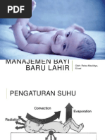 Download Manajemen Bayi Baru Lahir by Reisa Maulidya Tazami SN241616406 doc pdf