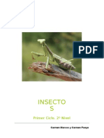 Insecto s