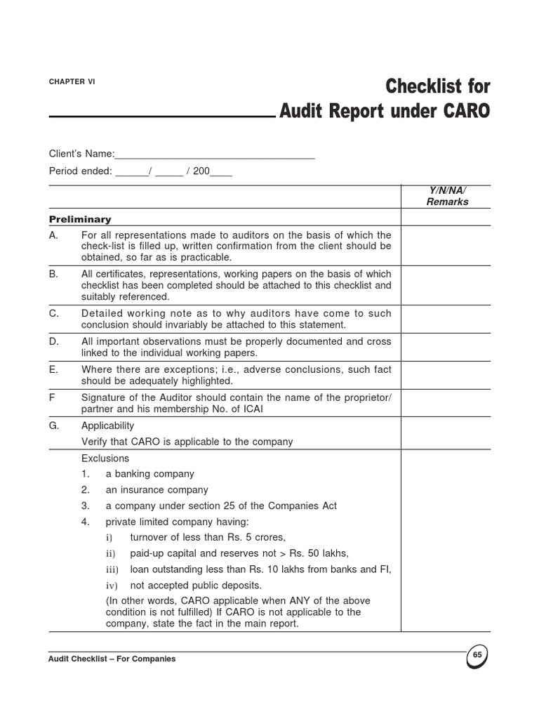 Checklist For Audit Report Under CARO: Preliminary | PDF