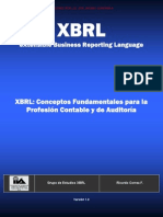 A7) XBRL Conceptos Fundamentales - IAIGC