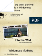 Into The Wild