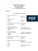 chave de identificação.docx